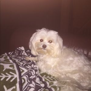 Meet your Posher, Malinda